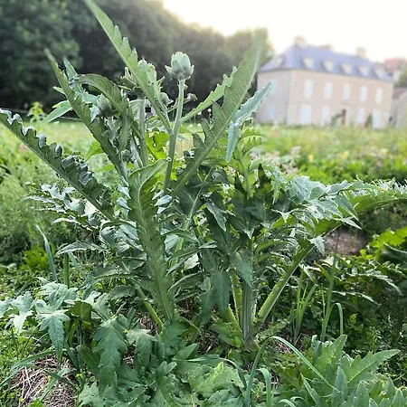 Noubar Oda ve Kahvaltı